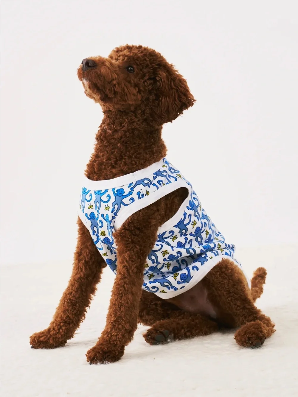 Roller Rabbit Dog Pajamas (New with Tags!)